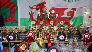 Regionalschau S-H/HH e.V. IG Welsh 24