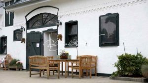 Regionalschau S-H/HH e.V. IG Welsh 25