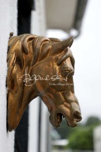 Regionalschau S-H/HH e.V. IG Welsh 26