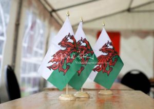 Regionalschau S-H/HH e.V. IG Welsh 30