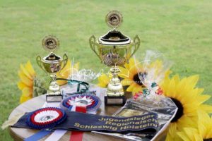 Regionalschau S-H/HH e.V. IG Welsh 4