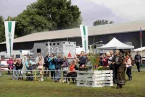 Regionalschau S-H/HH e.V. IG Welsh 10