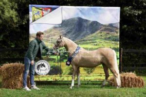 Regionalschau S-H/HH e.V. IG Welsh 15