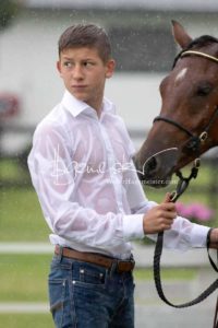 Regionalschau S-H/HH e.V. IG Welsh 16