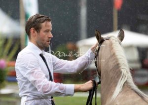 Regionalschau S-H/HH e.V. IG Welsh 19