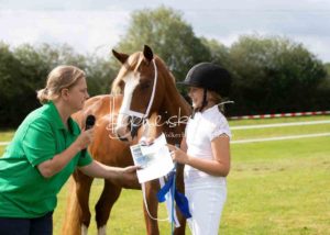 Regionalschau S-H/HH e.V. IG Welsh 29