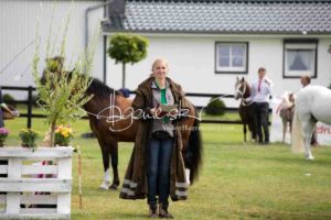 Regionalschau S-H/HH e.V. IG Welsh 1