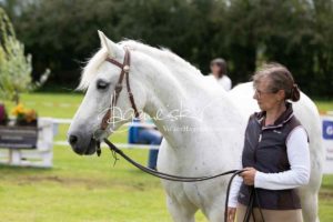 Regionalschau S-H/HH e.V. IG Welsh 7