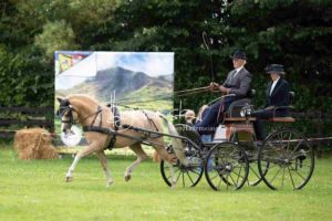 Regionalschau S-H/HH e.V. IG Welsh 14