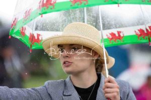 Regionalschau S-H/HH e.V. IG Welsh 27