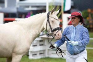 Regionalschau S-H/HH e.V. IG Welsh 19