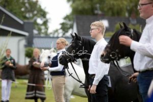 Regionalschau S-H/HH e.V. IG Welsh 2