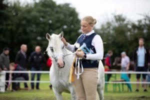 Regionalschau S-H/HH e.V. IG Welsh 3