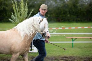 Regionalschau S-H/HH e.V. IG Welsh 18