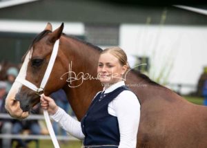 Regionalschau S-H/HH e.V. IG Welsh 4