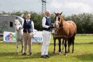 Regionalschau S-H/HH e.V. IG Welsh 15