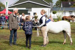 Regionalschau S-H/HH e.V. IG Welsh 16