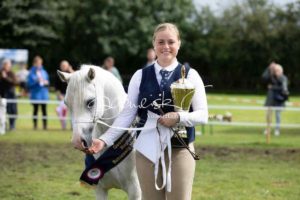 Regionalschau S-H/HH e.V. IG Welsh 17