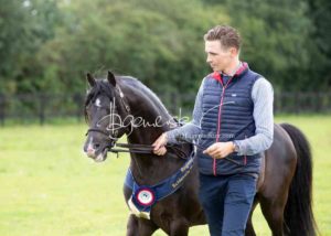 Regionalschau S-H/HH e.V. IG Welsh 18