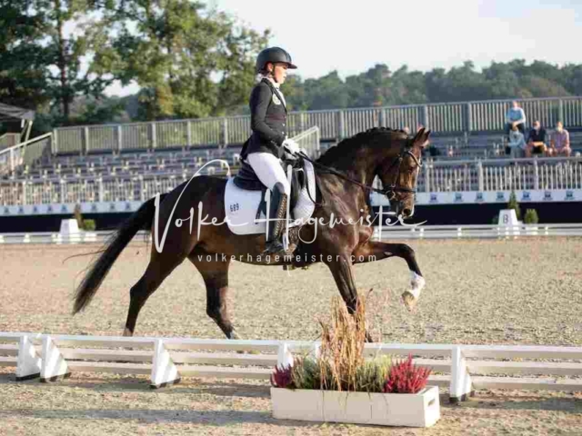 Mein Bundeschampionat 2021 8