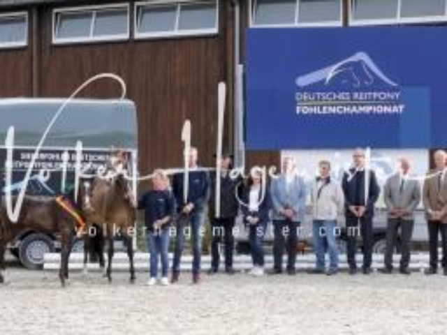 Deutsches Reitpony Fohlenchampionat 30