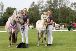 PSB Fohlenchampionat Sieger 9