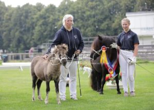 PSB Fohlenchampionat Sieger 10
