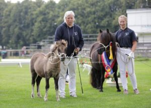 PSB Fohlenchampionat Sieger 11