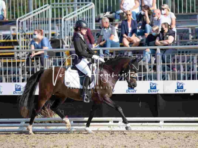 Mein Bundeschampionat 2021 3