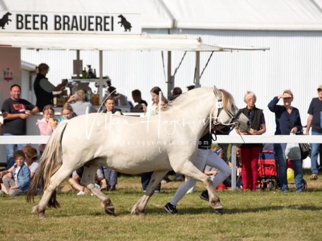 NORLA Sieger 2021 10