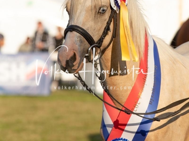 NORLA Sieger 2021 14