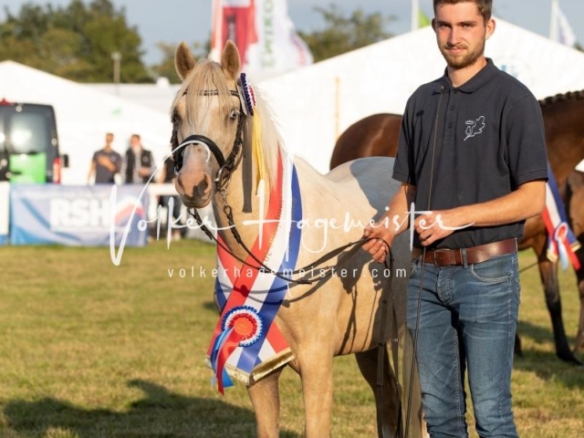 NORLA Sieger 2021 15