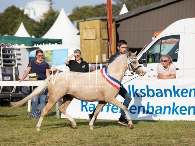 NORLA Sieger 2021 16