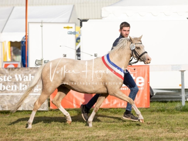 NORLA Sieger 2021 17