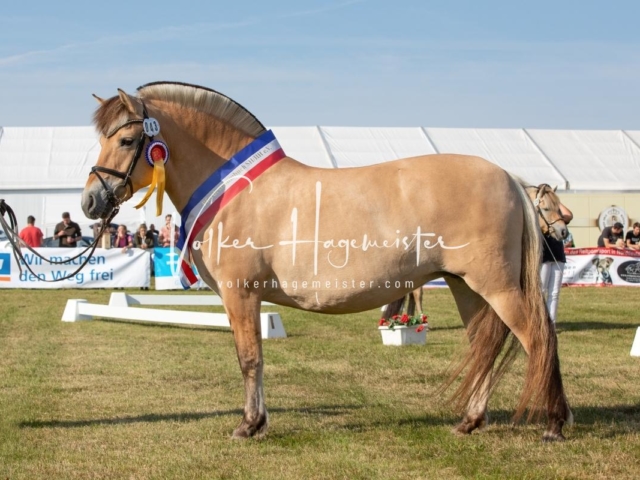 NORLA Sieger 2021 18