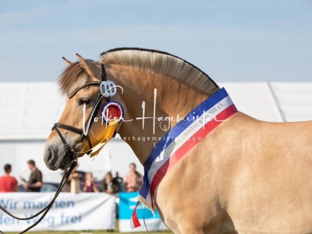 NORLA Sieger 2021 19