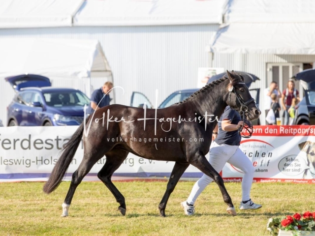 NORLA Sieger 2021 20