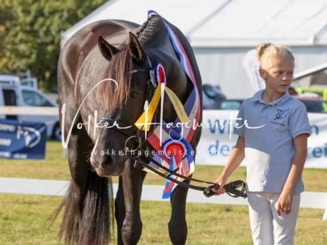 NORLA Sieger 2021 21