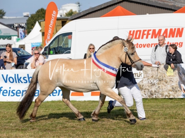 NORLA Sieger 2021 23