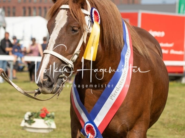 NORLA Sieger 2021 24