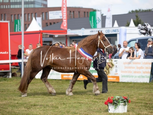 NORLA Sieger 2021 25