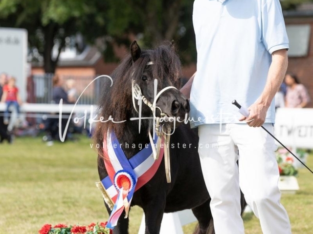 NORLA Sieger 2021 27