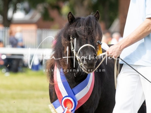 NORLA Sieger 2021 28