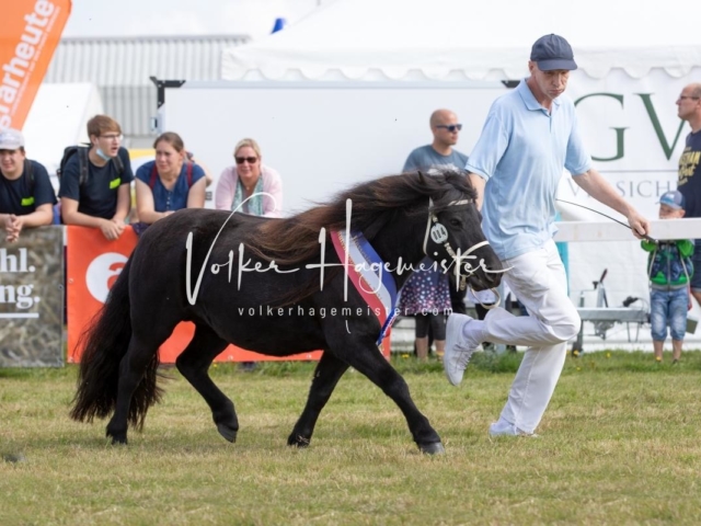 NORLA Sieger 2021 29