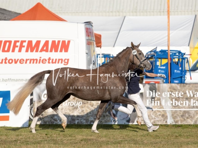 NORLA Sieger 2021 12