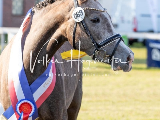 NORLA Sieger 2021 13