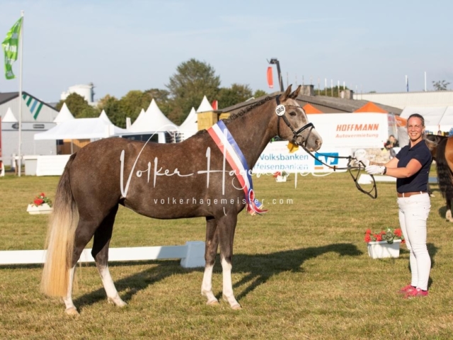 NORLA Sieger 2021 14