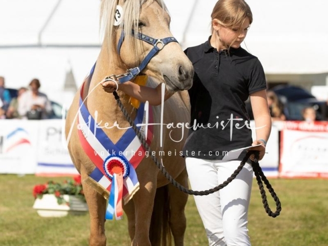 NORLA Sieger 2021 15