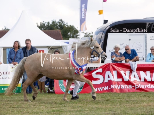 NORLA Sieger 2021 16