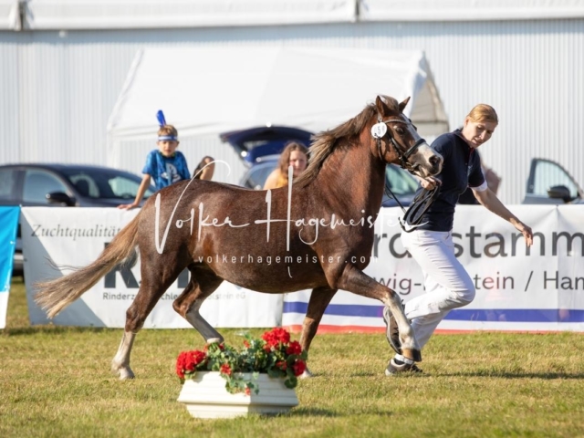 NORLA Sieger 2021 17